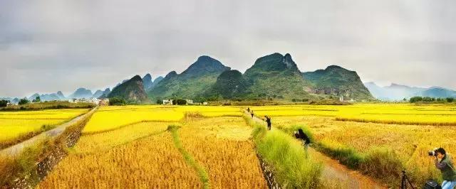 肇庆短途自驾游好去处,肇庆自驾游玩攻略