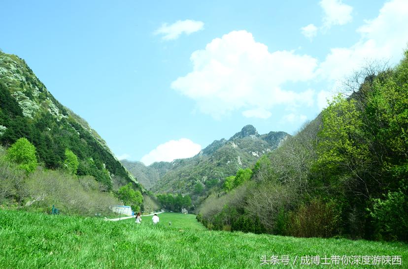 西安有银杏树旅游景区,西安旅游排名前十的景区有哪些