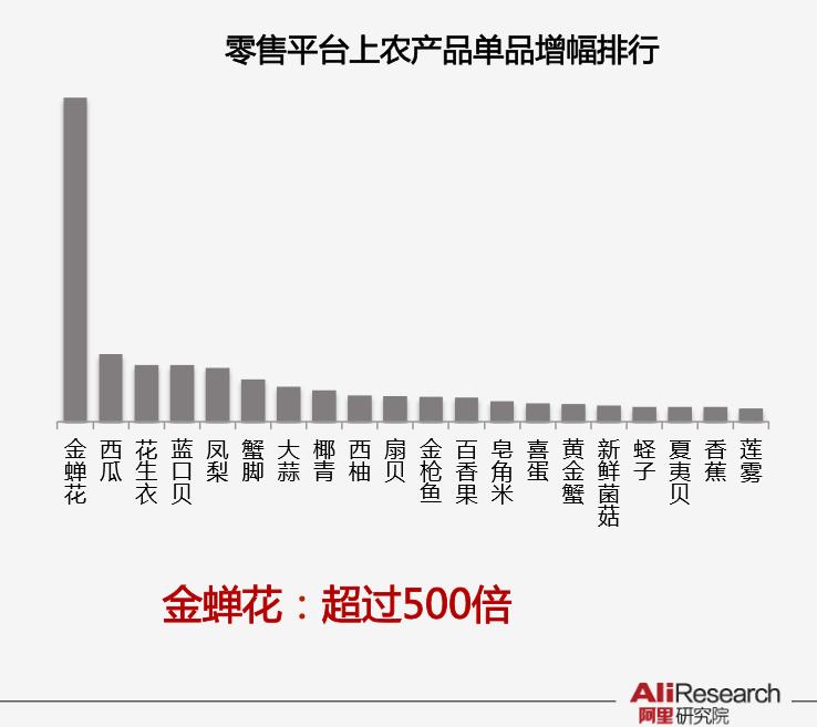 金蝉花商家,金蝉花官方旗舰店