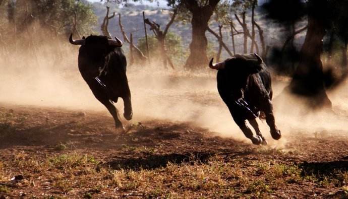 不是谁都敢玩美式橄榄球,老实打篮球
