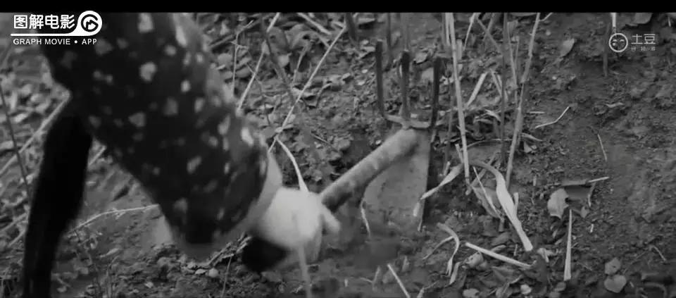 贞子小时候的真实模样,贞子真正的小时候照片