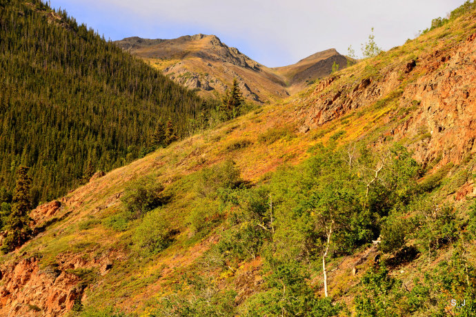 加拿大西北部育空,加拿大北部育空地区
