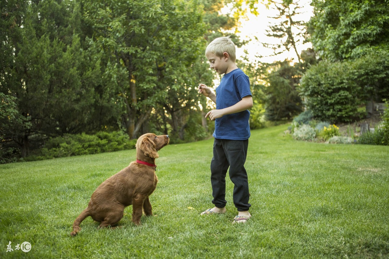 外贸b2b商城前景,阿里巴巴国际站b2b怎么做
