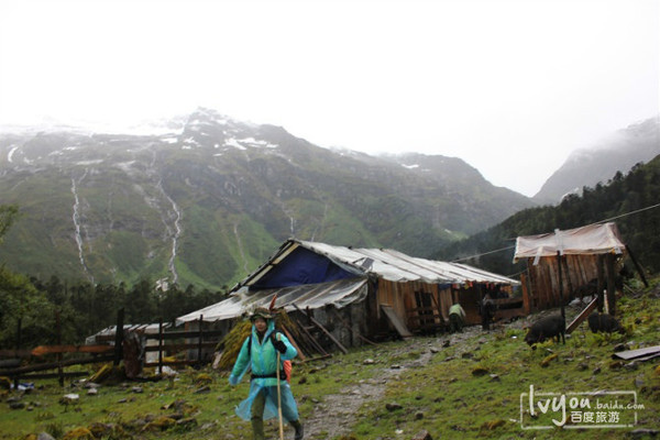 藏西线,最可怕的藏毒视频
