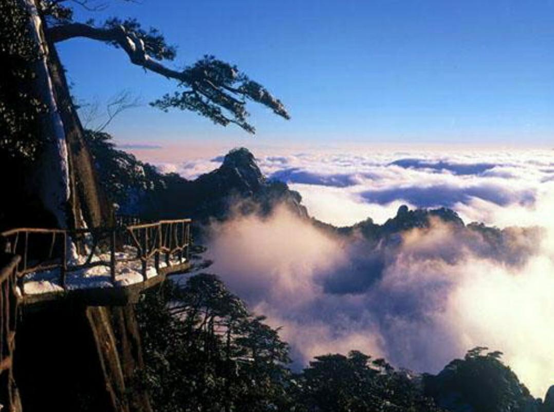 鸡汤心灵鸡汤经典语录,心灵鸡汤大全励志语录经典