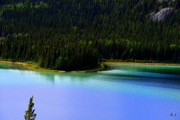 加拿大西北部育空,加拿大北部育空地区