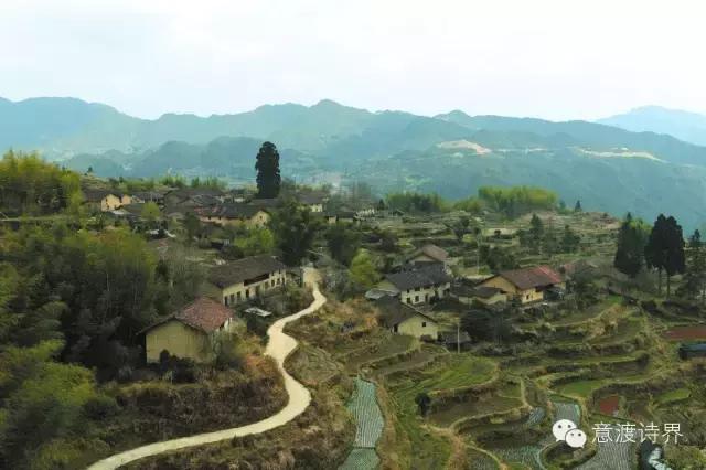 何鹏散文：可我独缺，你一生的了解I总第083期