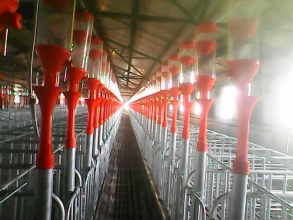 你以为你在外漂泊过得很好，其实你不知道老家的人有多少财产