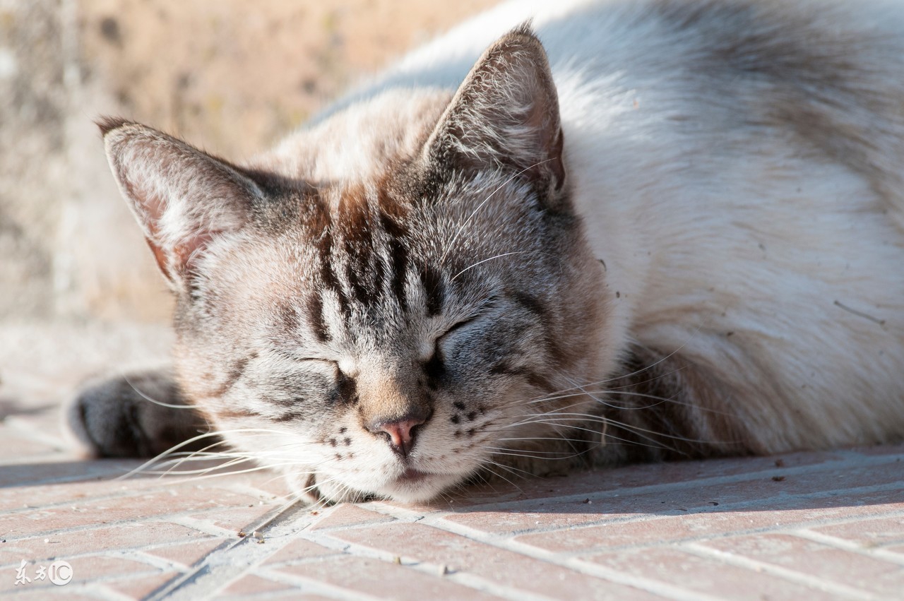 好玩的单机游戏推荐rpg,好玩的单机游戏推荐男生