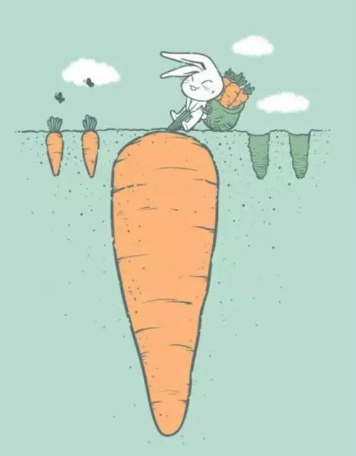 涂磊经典语录正能量人生感悟,涂磊经典语录人生感悟大全