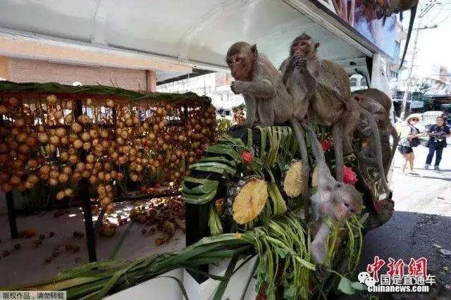 黄金周另类科普:这些节日的庆祝方式你不服不行