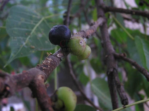 深处的秘密完整版,深处的秘密介绍