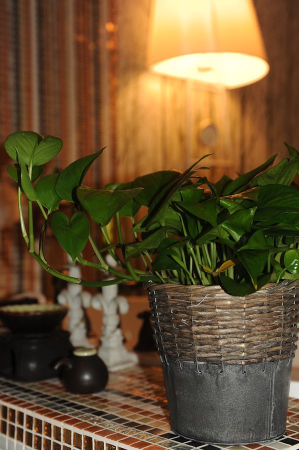 臣妾的50平装出豪宅的感觉(评论留QQ送流水账)