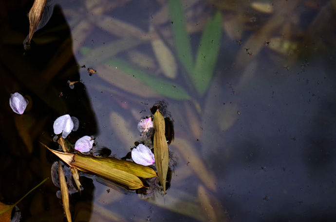 苏州穹窿山景区风景,苏州穹窿山半山腰