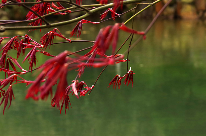 苏州穹窿山景区风景,苏州穹窿山半山腰
