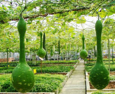 南宁十里花卉长廊农家乐,南宁大明山农家乐排名前十