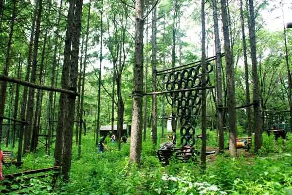 沐浴暖阳踏青,踏青走起