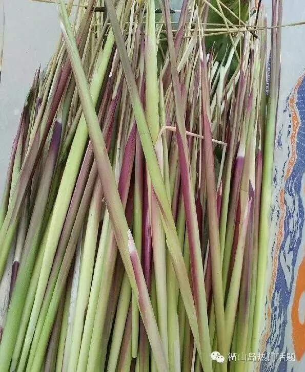 春天到了同学们到山上植树,春天到了同学们到山坡上植树