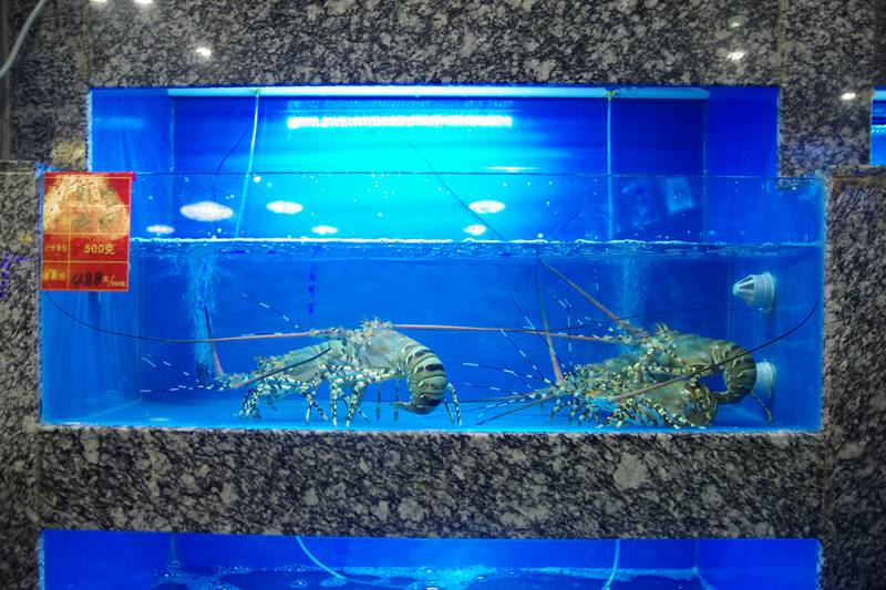 味霖海鲜渔港地址,同安味霖海鲜渔港周岁宴