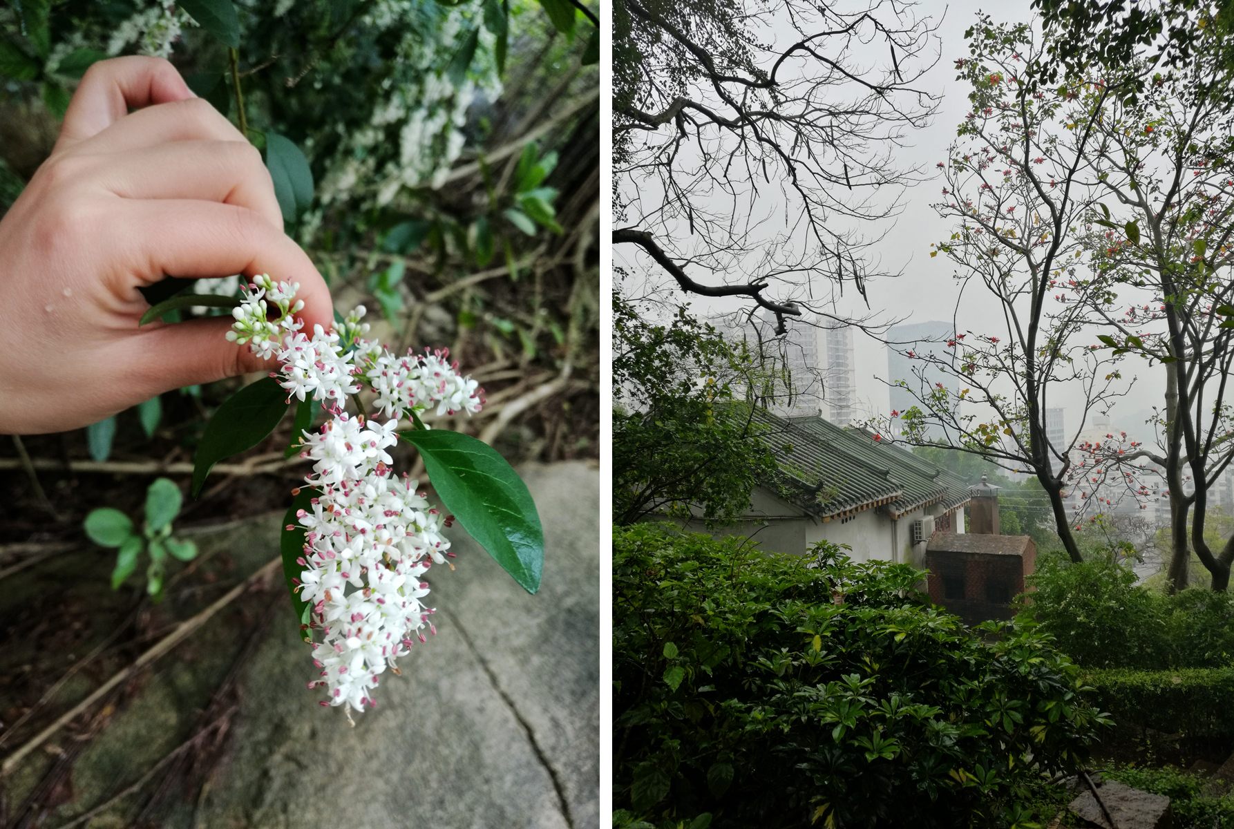 菲·独行侠·福州出发剑走偏锋厦门你可能没去过的美景