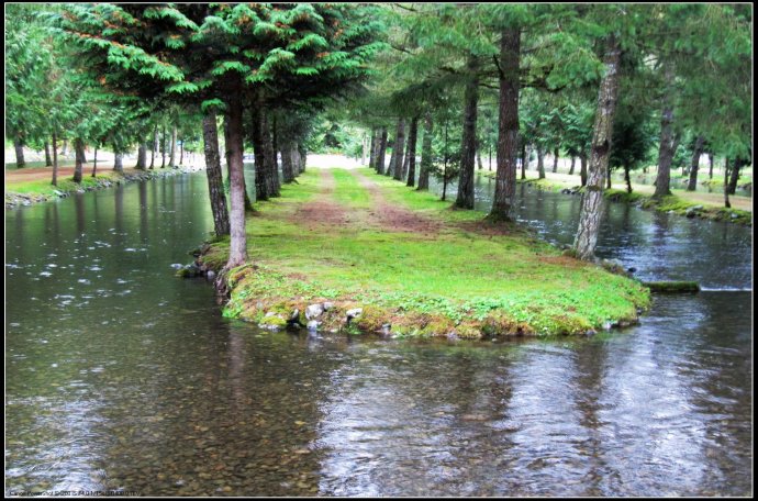 逆流而上,加拿大威化溪三文鱼洄游之旅