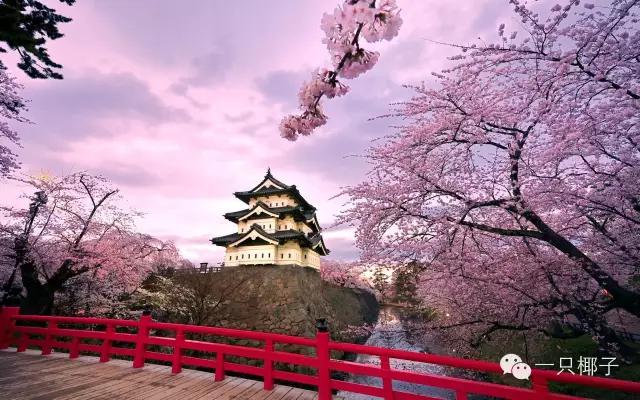 减肥取经|互动送礼为什么日本罕有胖女人?