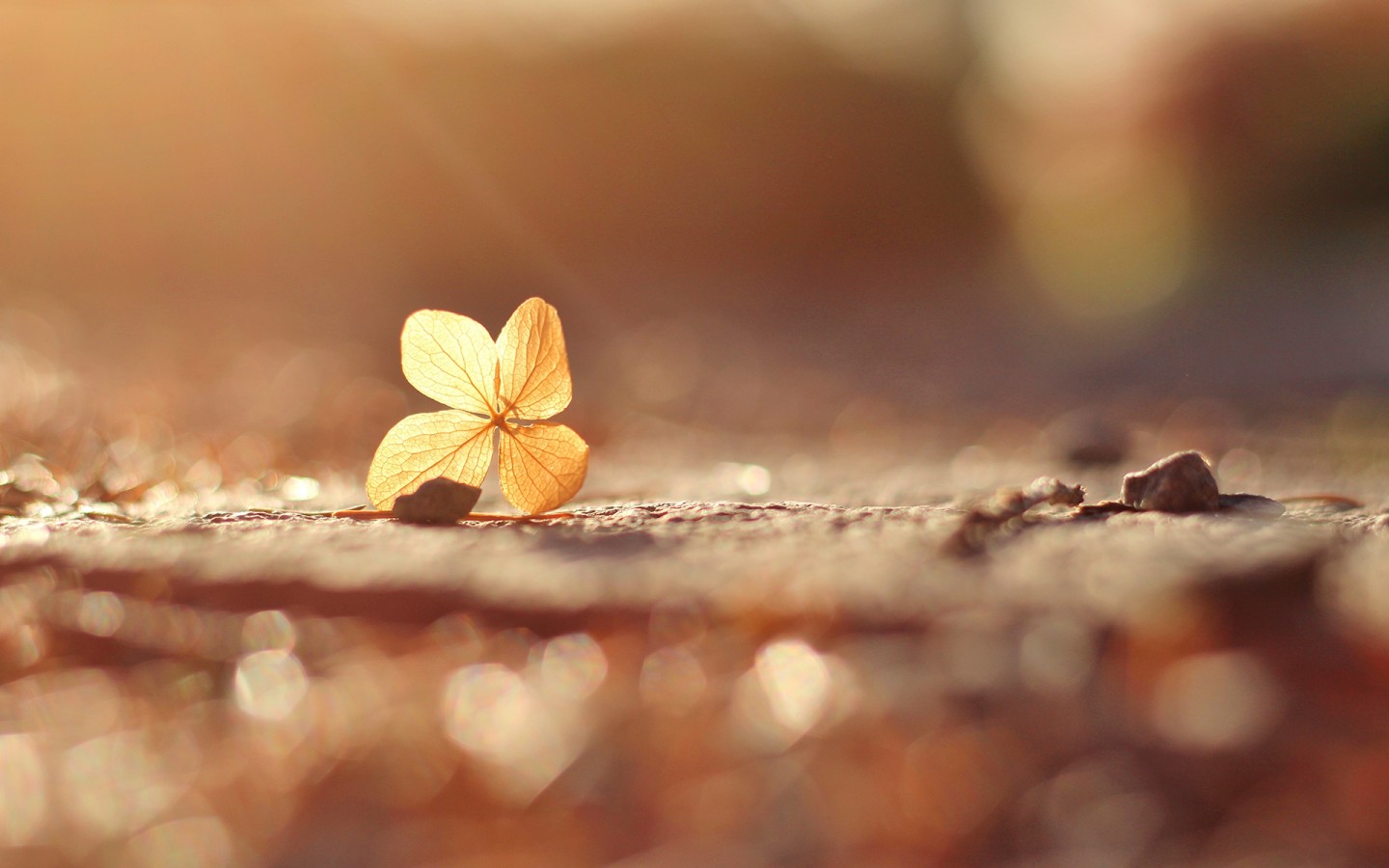 天空下雨，可以打伞；心下雨，该怎么办？