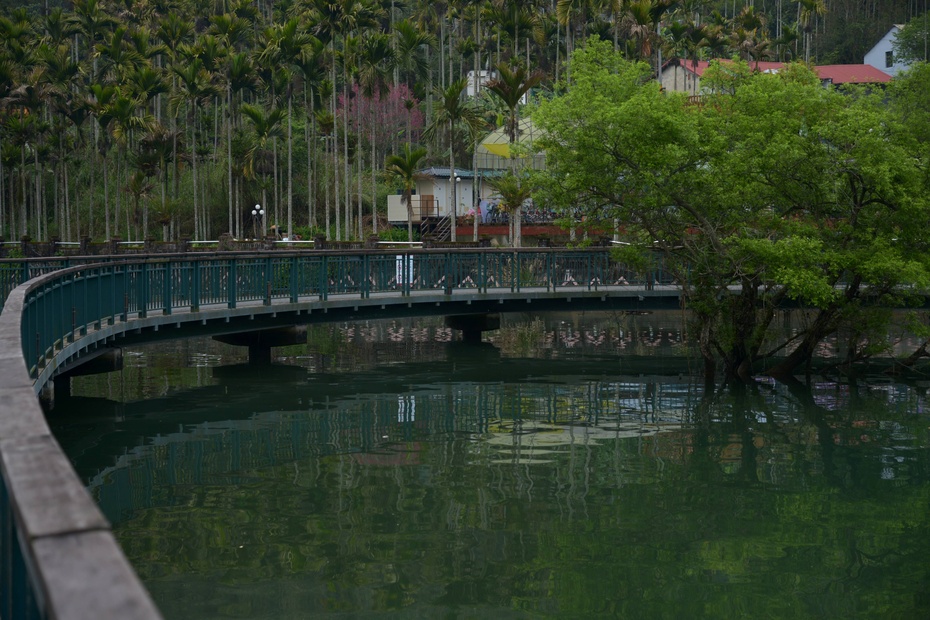 台湾租机车环岛条件,台湾骑行环岛租摩托车多少钱
