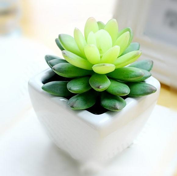 喝剩茶水有何妙用,茶煮饭有什么功效