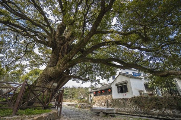 太湖舒畅之旅:乐享田园生活