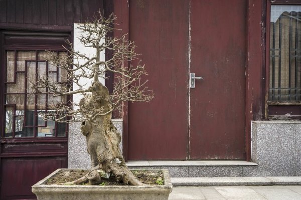 太湖舒畅之旅:乐享田园生活