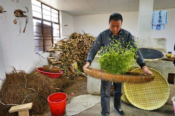 太湖舒畅之旅:乐享田园生活