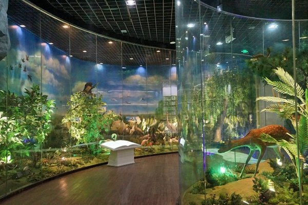 太湖舒畅之旅:乐享田园生活