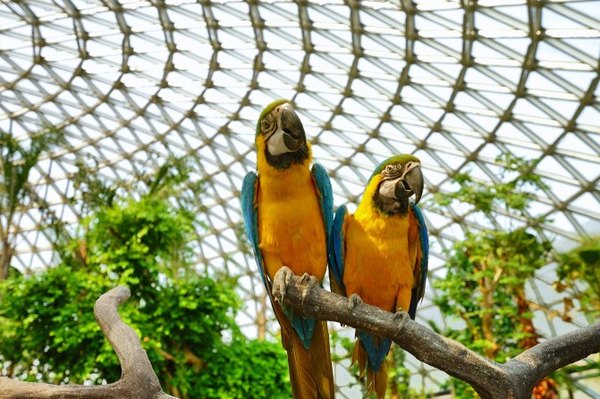 太湖舒畅之旅:乐享田园生活