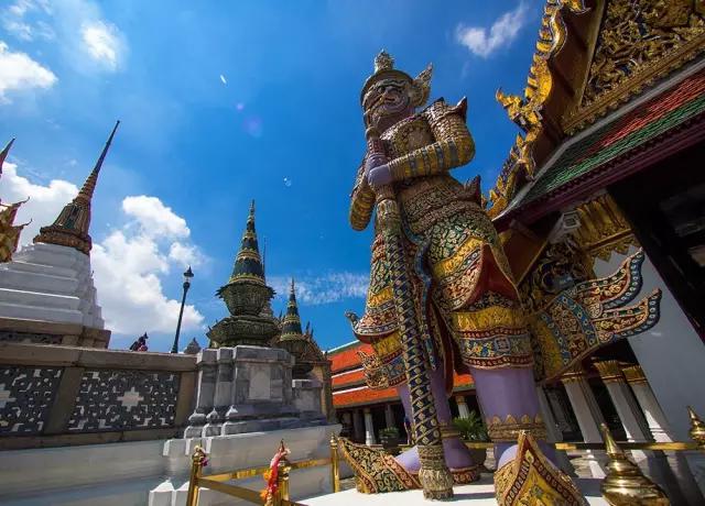 揭秘:真实的泰国人妖,昙花一现的美丽