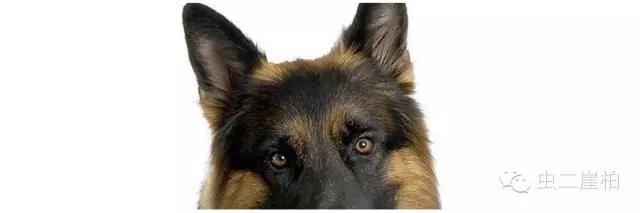 不随意鸣笛做中国好司机,中国文明好司机