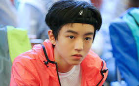 杨洋李易峰林更新胡歌,林更新李易峰杨洋的择偶标准