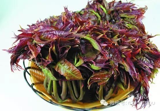 只有春天才有的如皋美食,春天一定不要错过美食