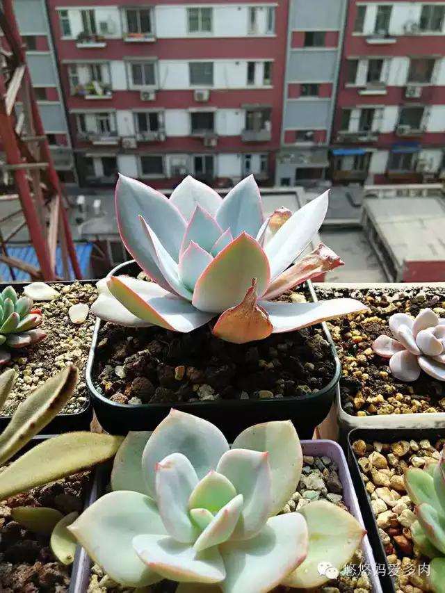 你们的名字有多土,你们的名字叫什么