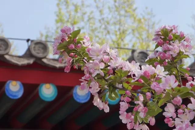 弘博现场|窥探皇帝的一天