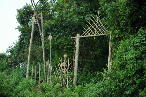 佤族的风俗活动是什么,佤族祭鬼活动