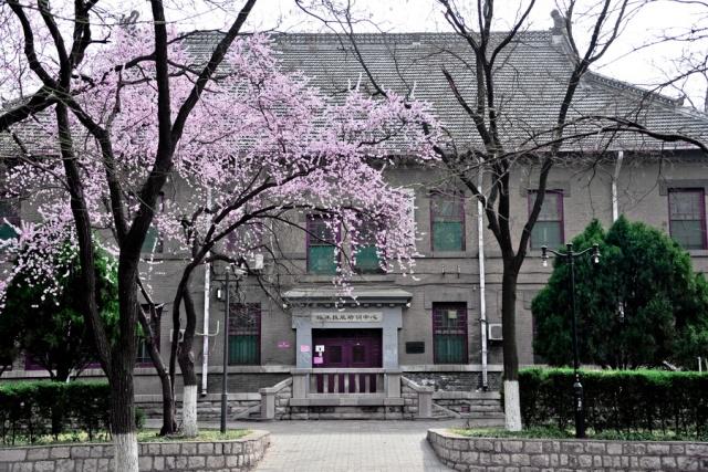 趣谈山大趵突泉校区,春风十里不如你