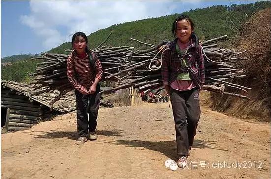 1元做公益,一元钱就能做公益