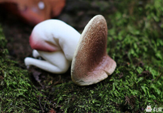 喵星人形象演绎痛经到底有多痛？