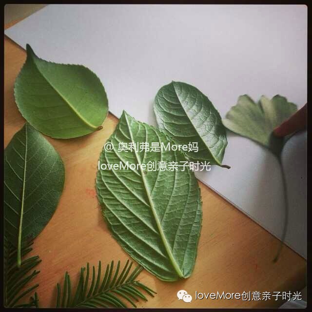 亲子活动记录,适宜2-3个月的亲子活动