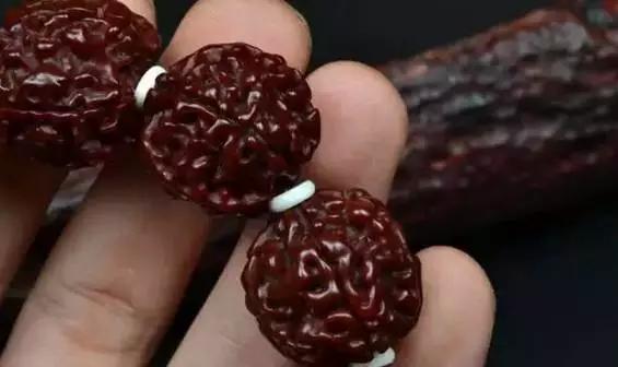 买金刚菩提手串注意事项,买金刚菩提有什么注意事项