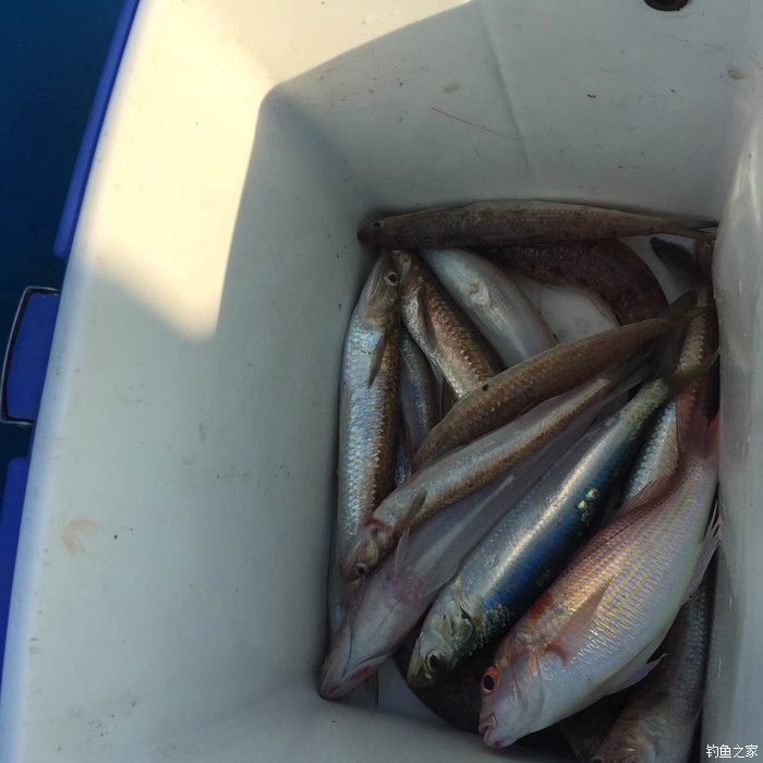 东征西讨和南征北讨,东征西讨南伐大漠