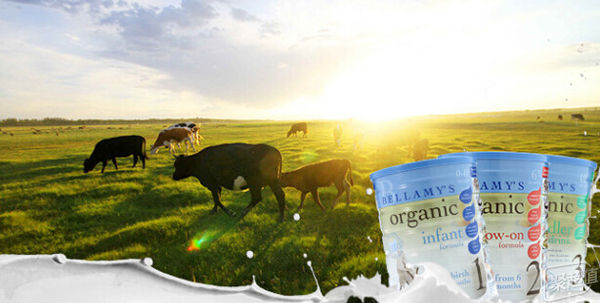 一个奶爸的心酸经历,一个奶爸的辛酸与育儿心得