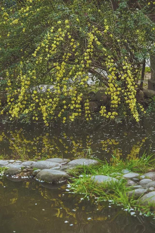 他在这里盖房子时,日本人还没学会唐风