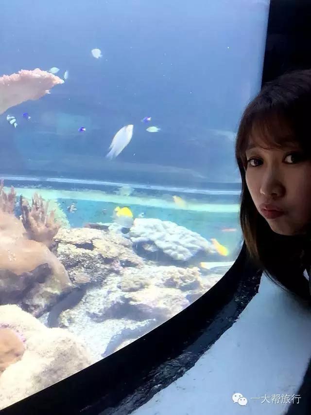 默默达人分享会:台湾环岛十五日深度游